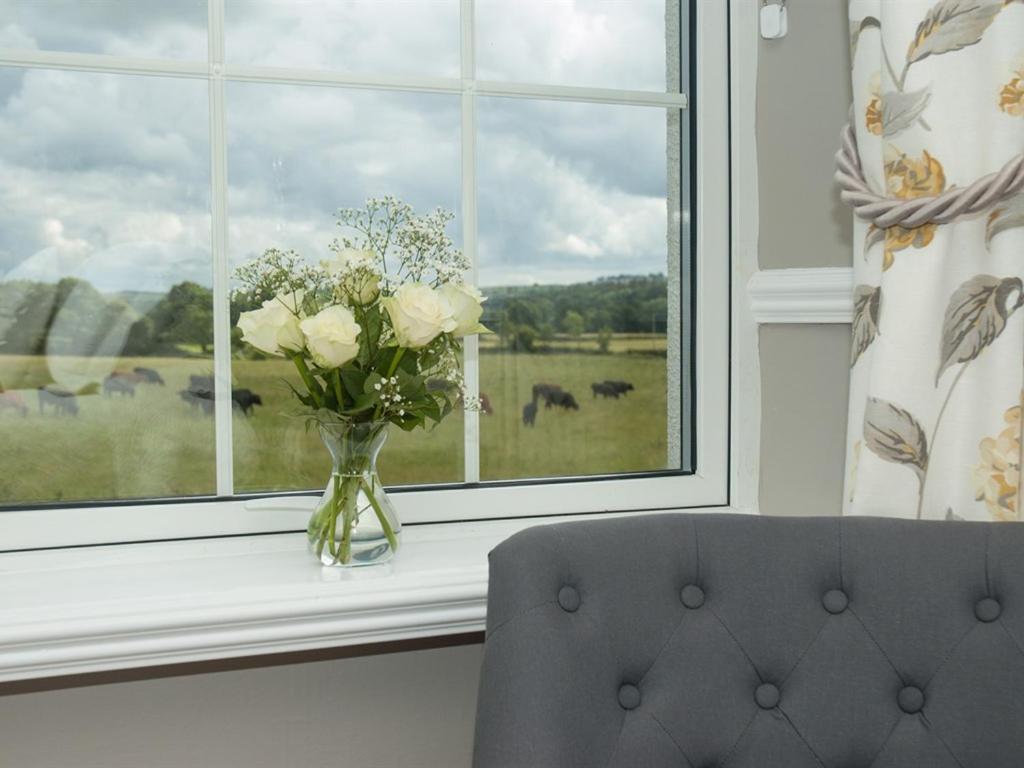 Poole Farm Bed & Breakfast Launceston Rom bilde